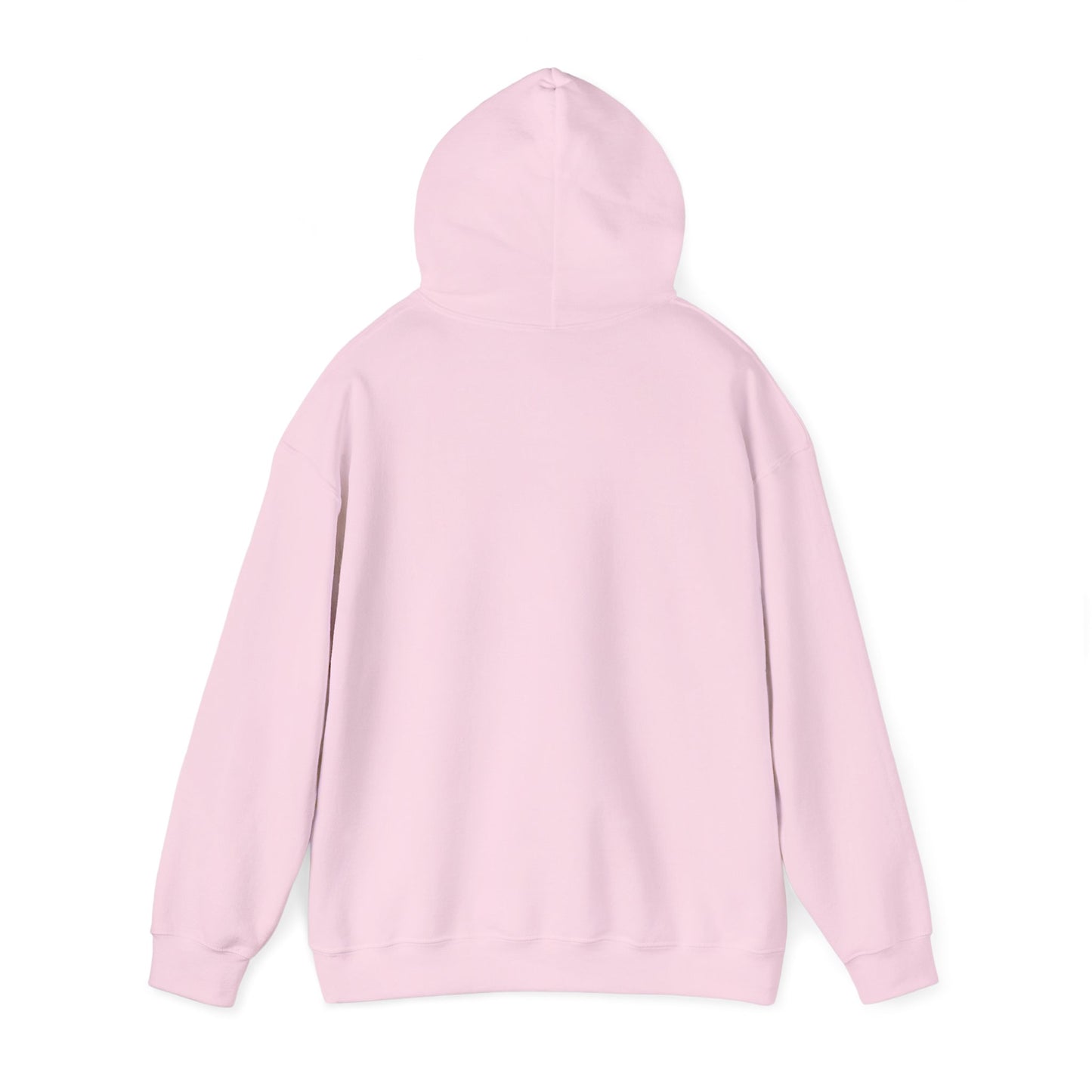 Girls Just Wanna Have Funds Hoodie